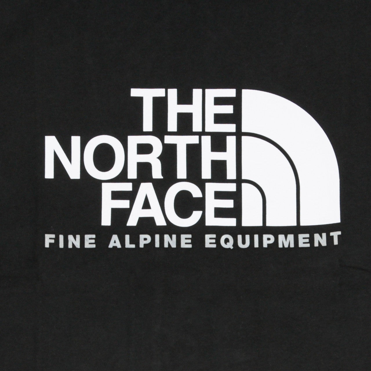 The North Face, Maglietta Uomo Fine Alp Tee 2, 