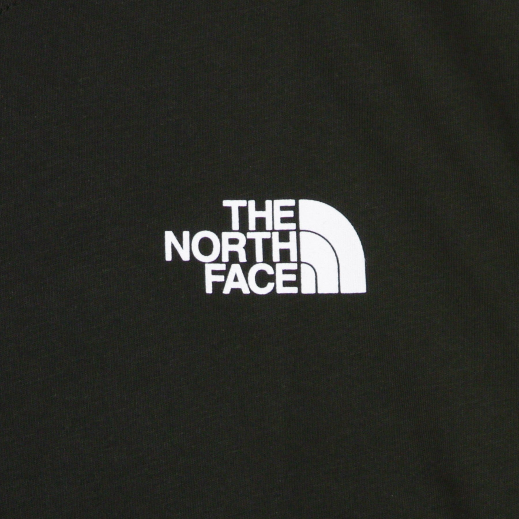 The North Face, Maglietta Uomo Red Box Tee, 