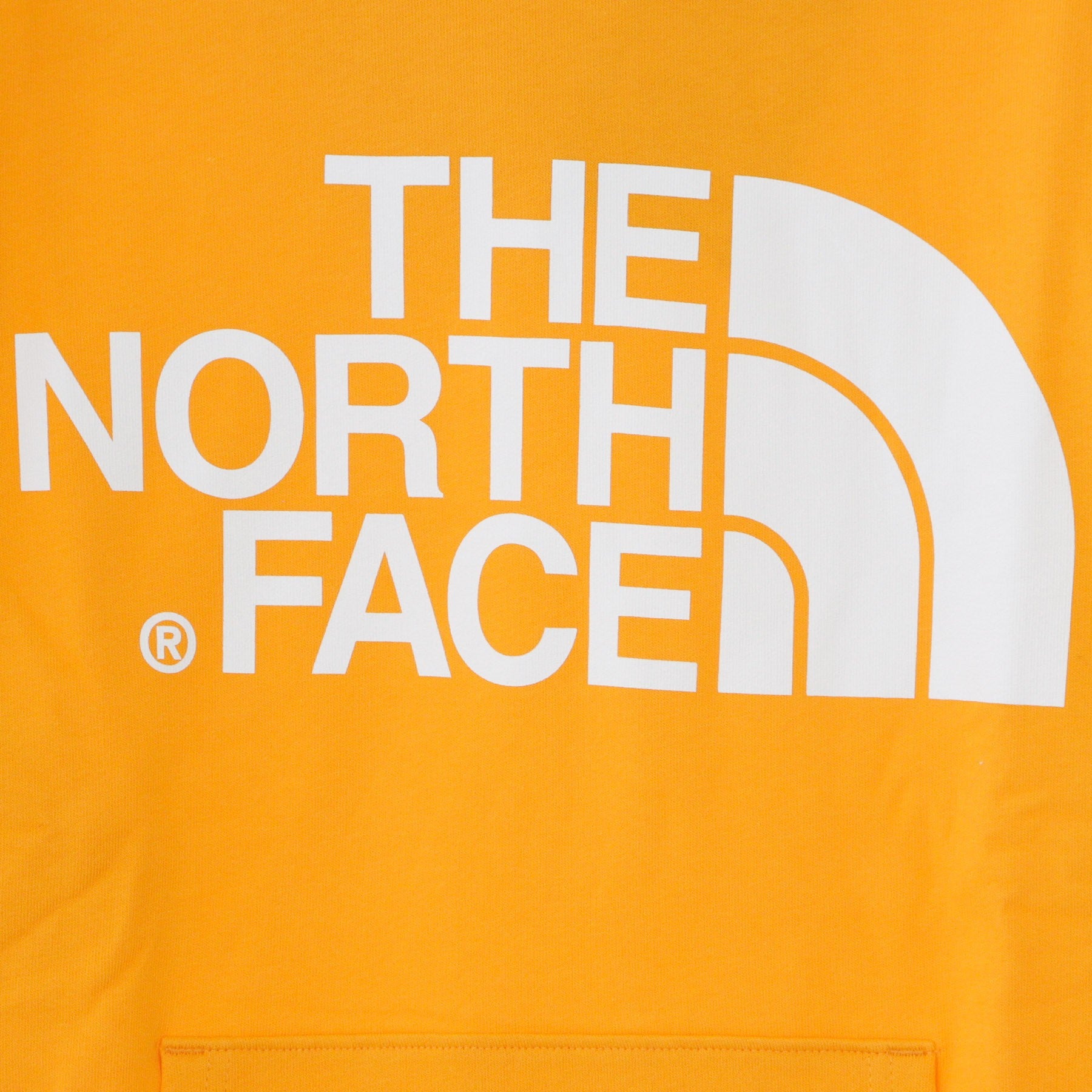 The North Face, Felpa Cappuccio Uomo Standard Hoodie, 
