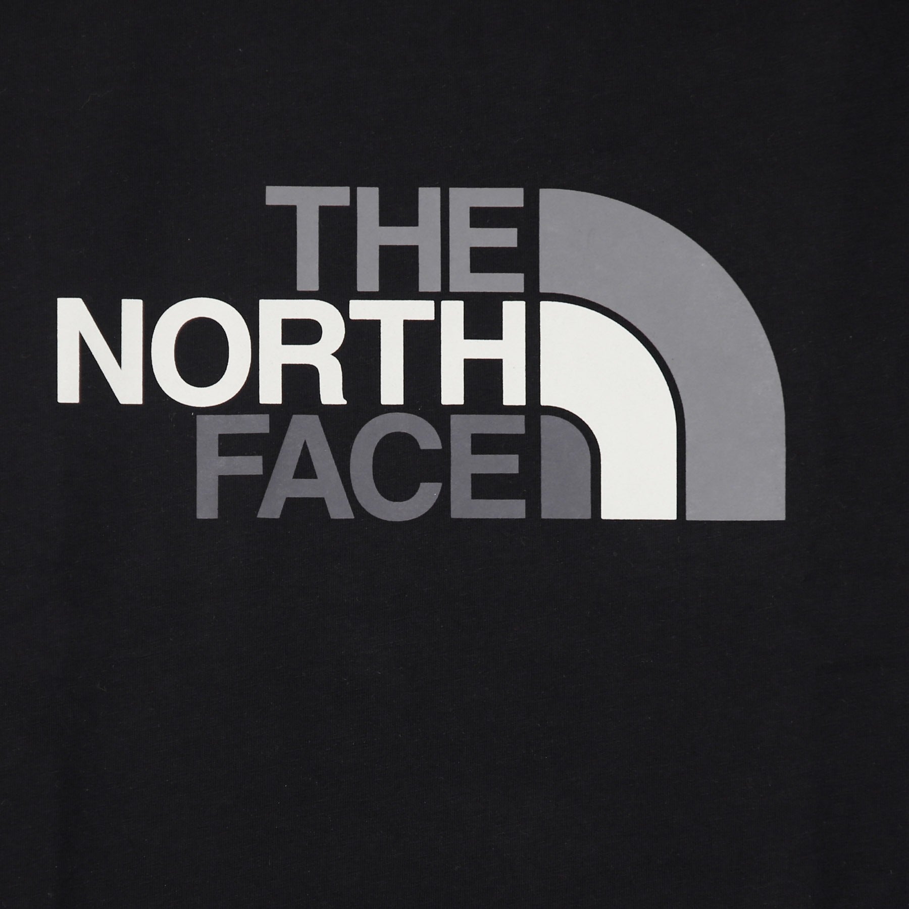 The North Face, Maglietta Uomo Easy Tee, 