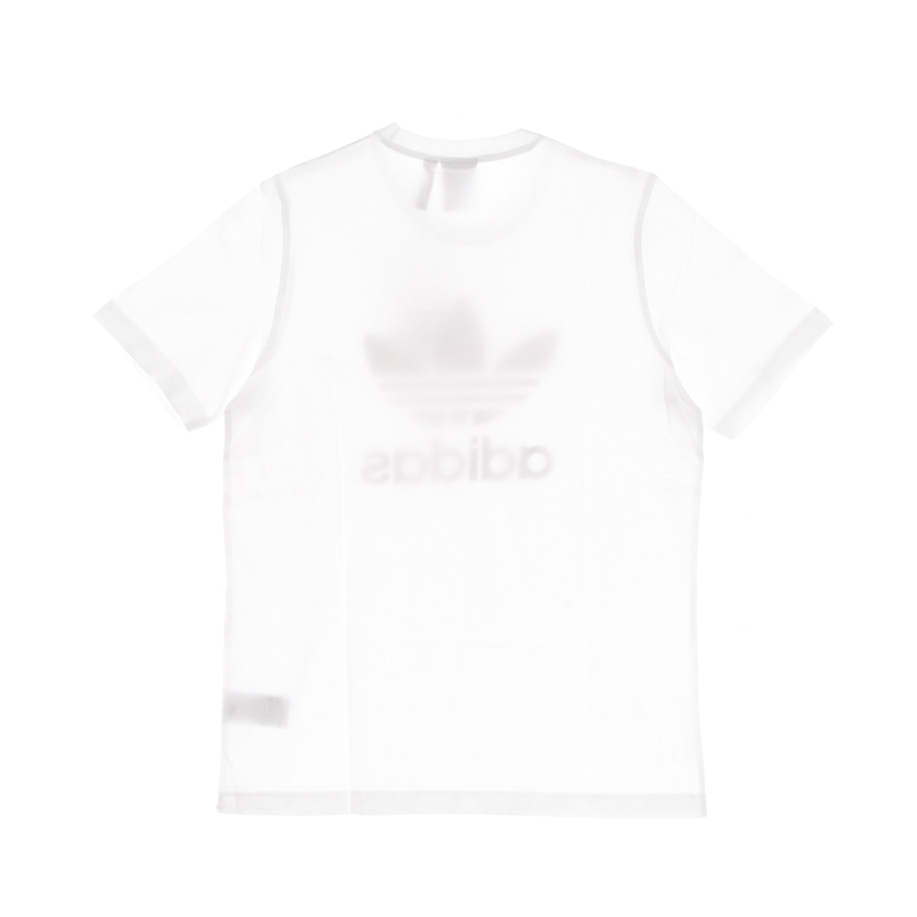 Adidas, Maglietta Uomo Classic Adicolor Trefoil Tee, 