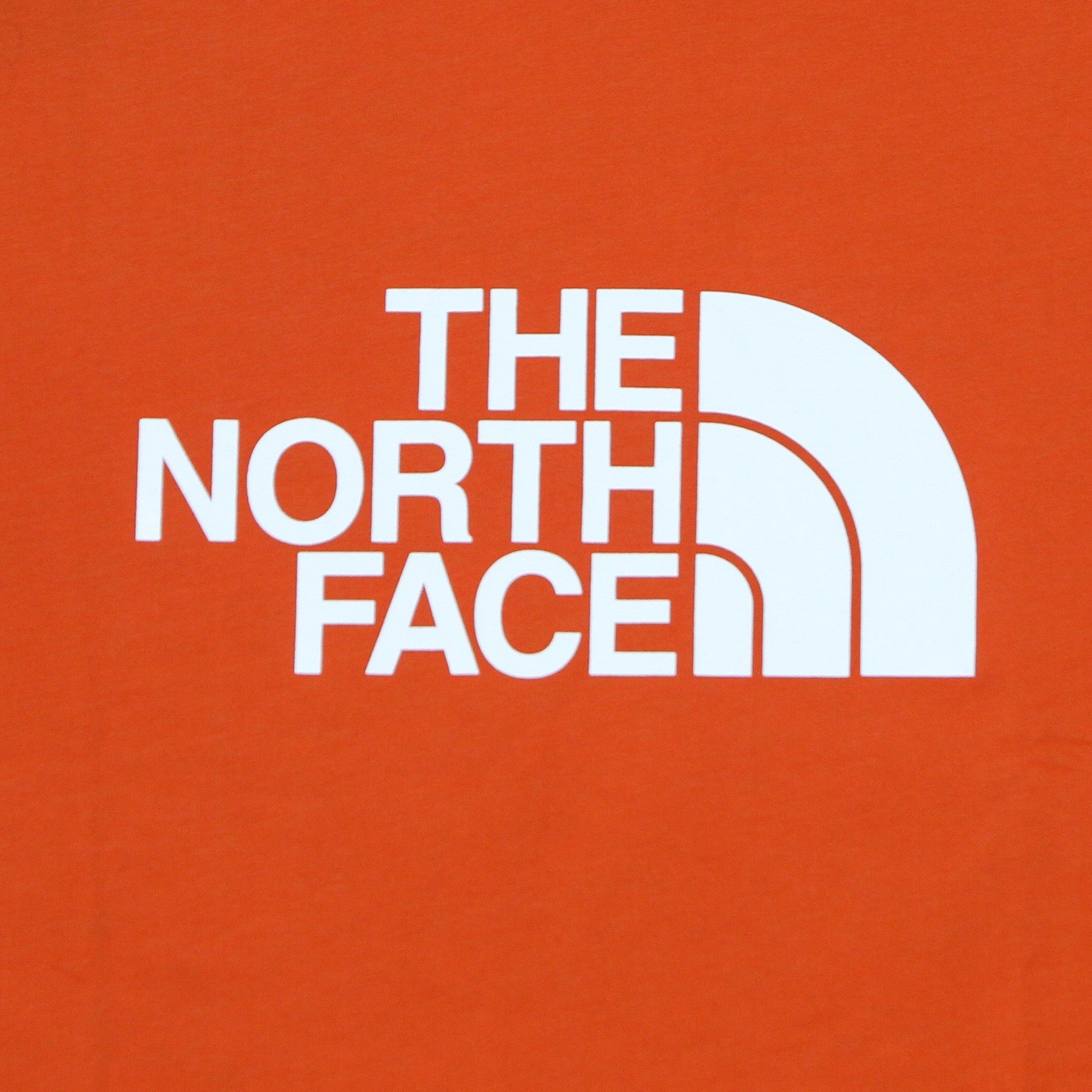 The North Face, Maglietta Uomo Easy Tee, 