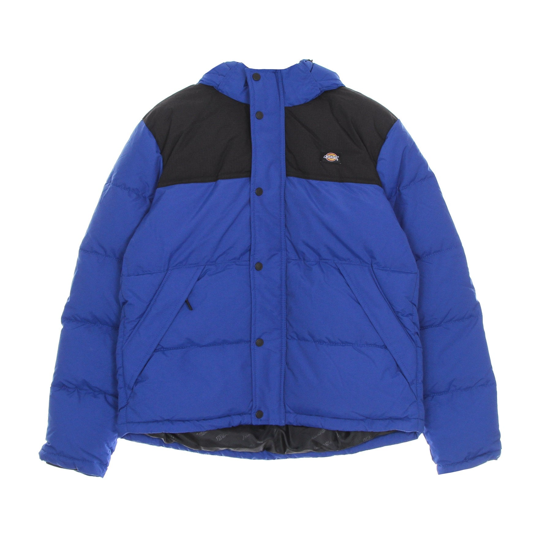 Dickies, Piumino Uomo Glacier View Coat, True Blue