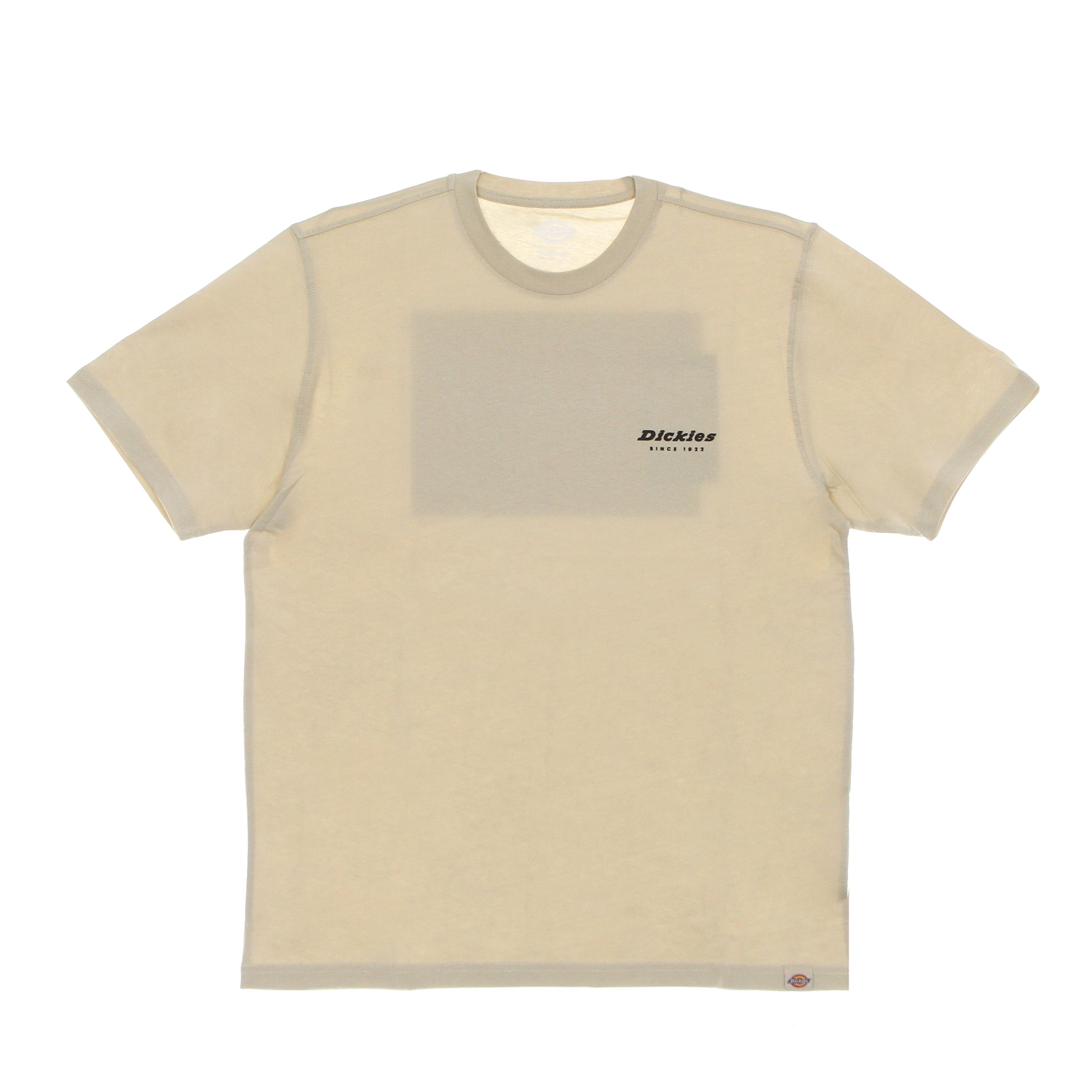 Artonodale Box Tee Ss Cement Men's T-Shirt