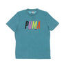 Puma, Maglietta Uomo Graphic Tee, Porcelain