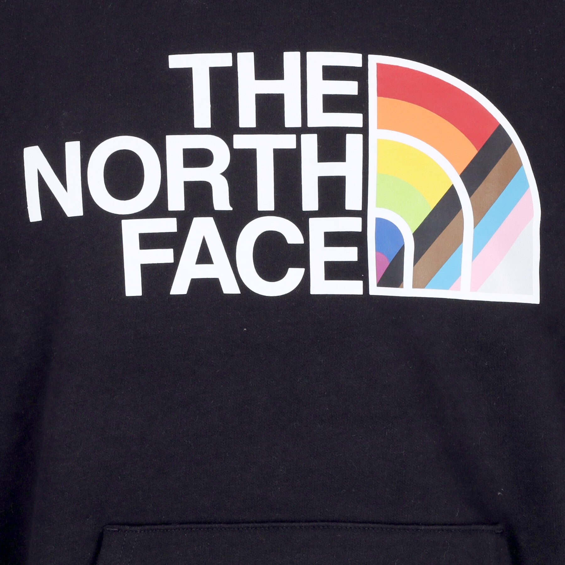 The North Face, Felpa Cappuccio Uomo Pride Pullover Hoodie, 