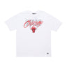 New Era, Maglietta Uomo Nba Script Os Mesh Tee Chibul, White/front Door Red