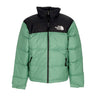 The North Face, Piumino Uomo 1996 Retro Nuptse, Deep Grass Green