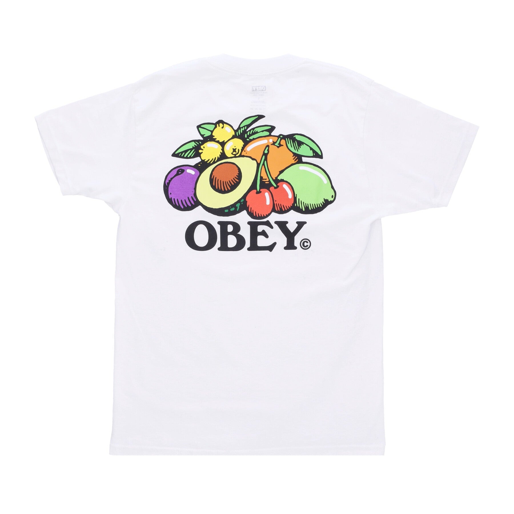 Bowl Of Fruit Classic Tee White Men's T-Shirt