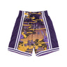 Mitchell & Ness, Pantaloncino Basket Uomo Nba Ah Swingman Short 5.0 Hardwood Classics 1996 Loslak, Purple/yellow