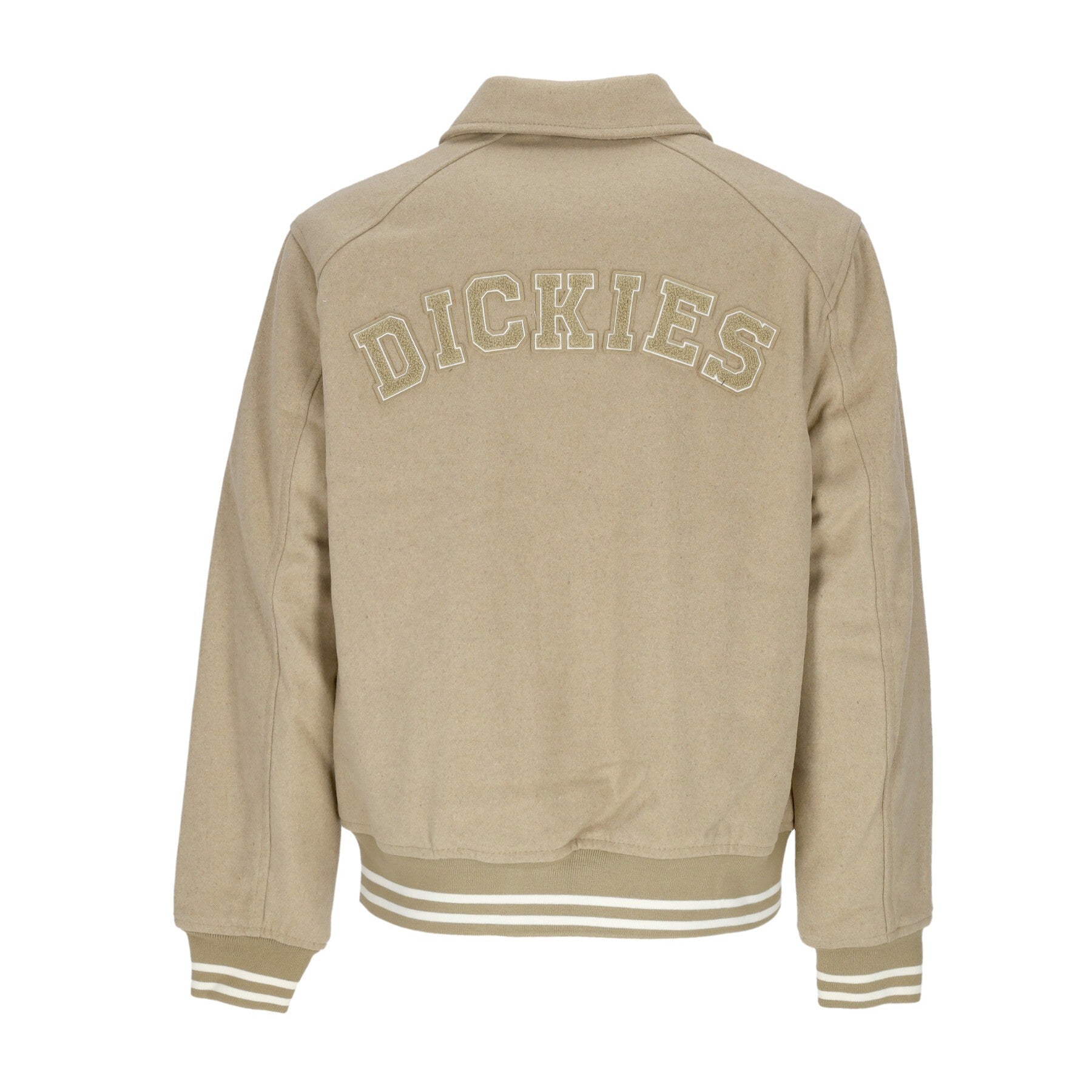 Dickies, Giubbotto College Uomo Vale Varsity Bomber Jacket, 