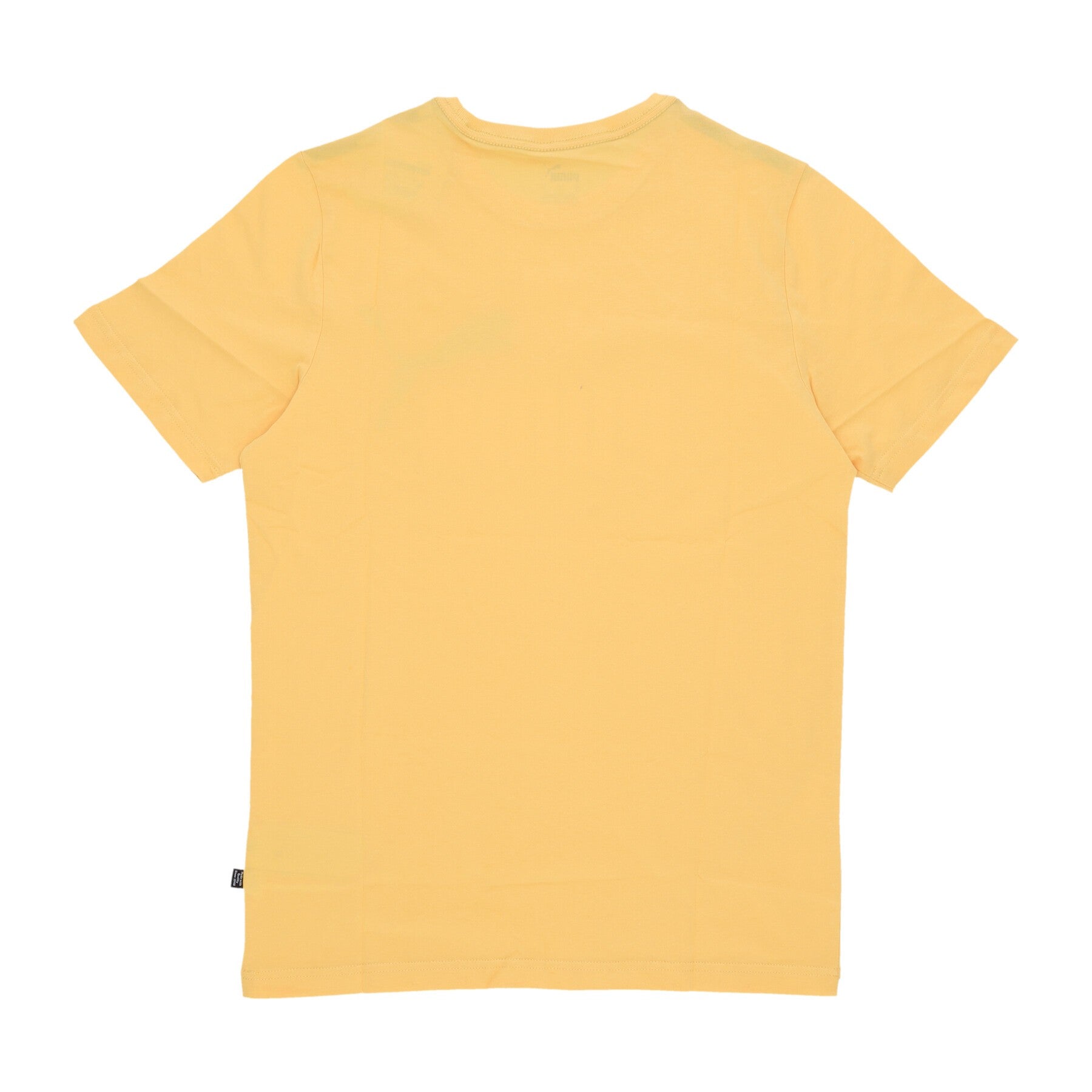 Puma, Maglietta Uomo Essentials 2 Col Logo Tee, 