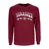 Thrasher, Maglietta Manica Lunga Uomo Barbed Wire L/s Tee, Maroon