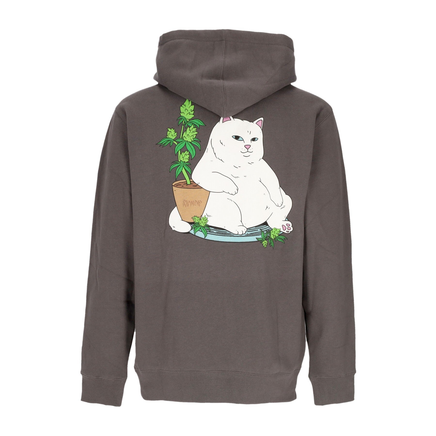 Herren Hoodie Flower Boy Hoodie Anthrazit