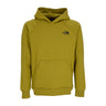 The North Face, Felpa Cappuccio Uomo Raglan Redbox Hoodie, Sulphur Moss