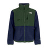 The North Face, Giubbotto Pile Uomo Denali Jacket, Summit Navy/pine Needle