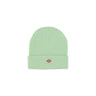 Dickies, Cappello Uomo Gibsland Beanie, Quiet Green