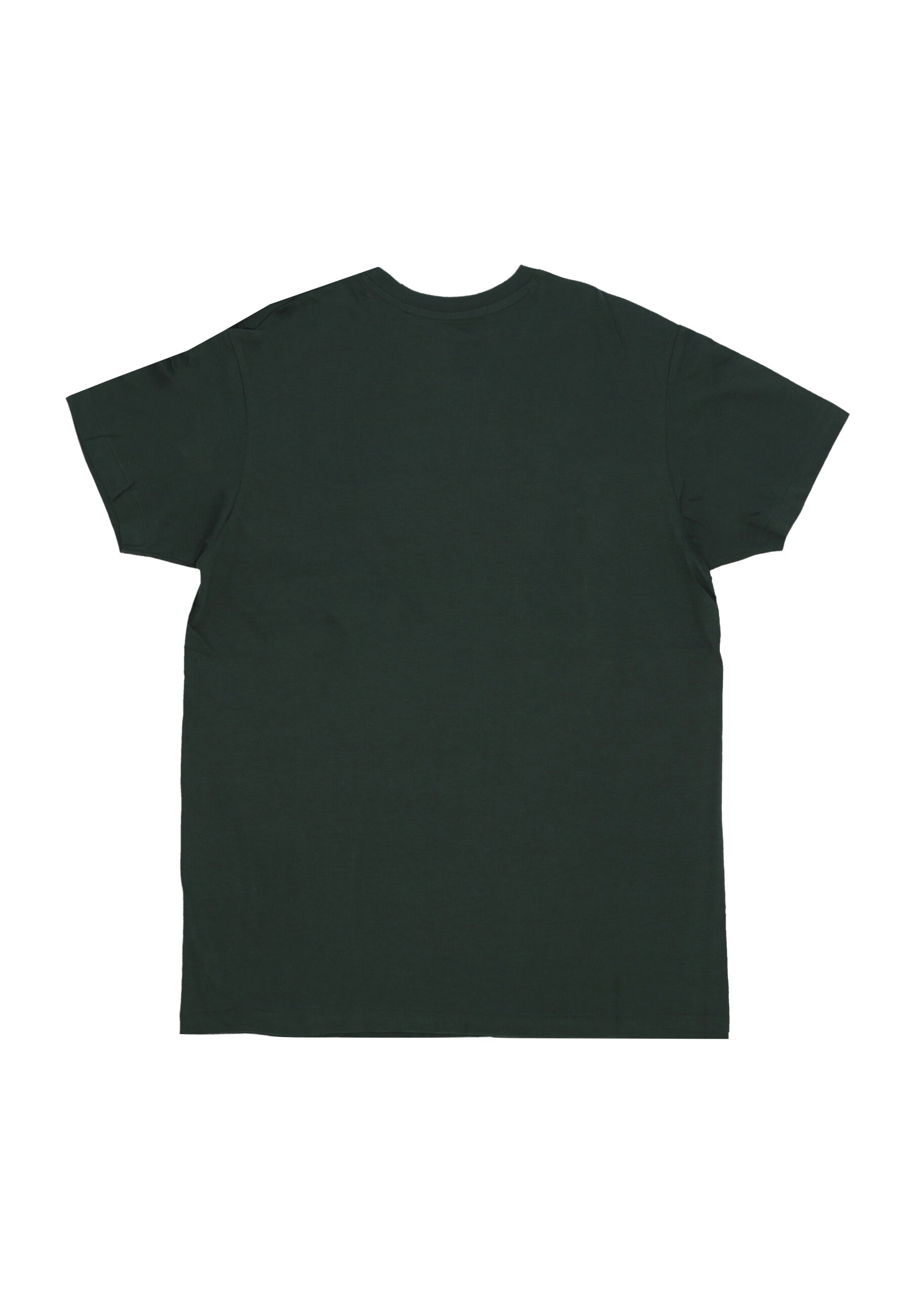 Maglietta Uomo Bones Tee Bottle Green MTS200