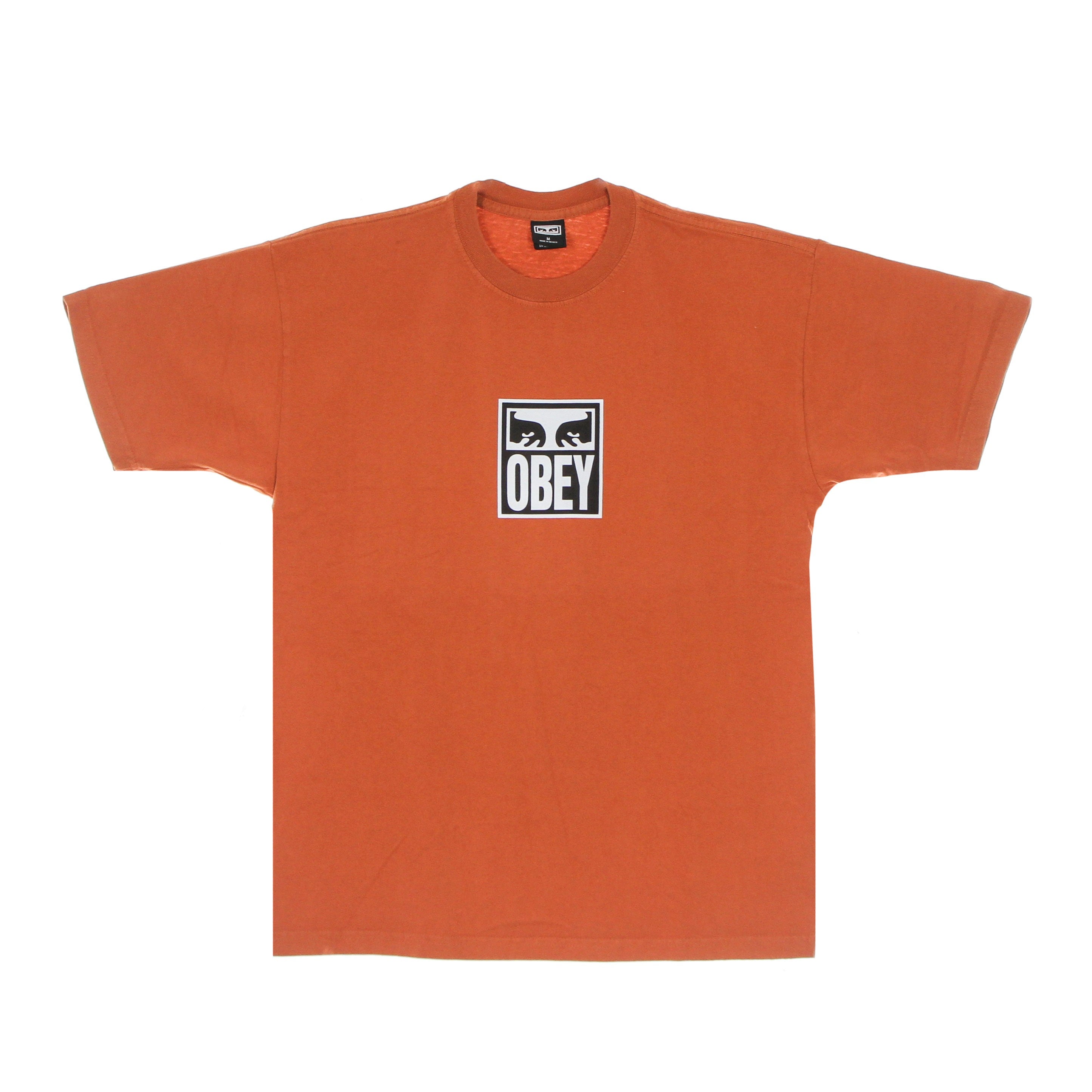 Maglietta Uomo Eyes Icon 3 Heavyweight Tee Ginger 166912712