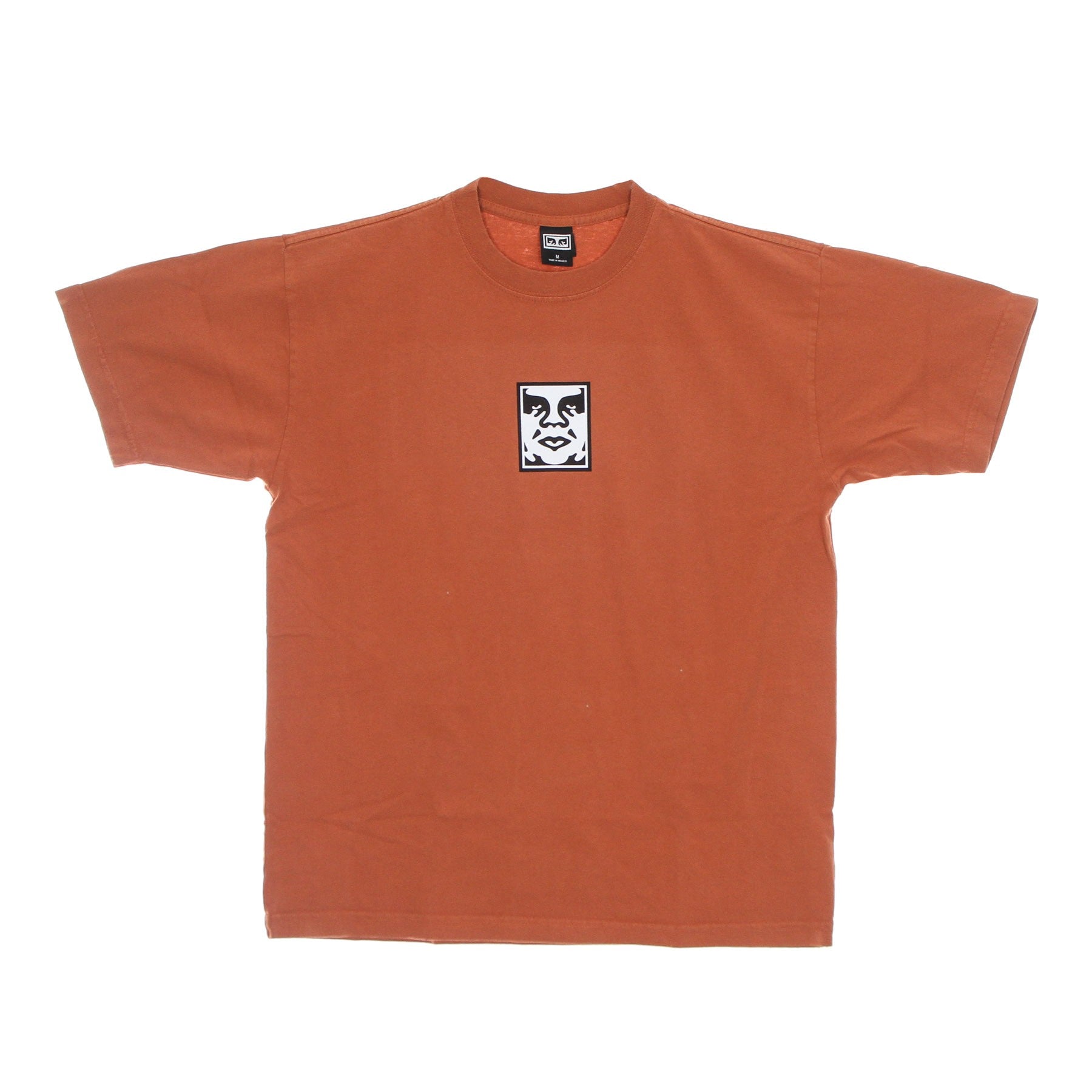 Maglietta Uomo Icon Heavyweight Tee Ginger 166913013